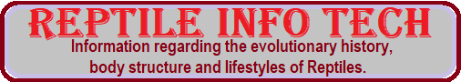 lifestyles of Reptiles