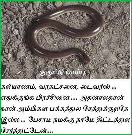 பாம்புகள் - Snakes Introduction - blind snake